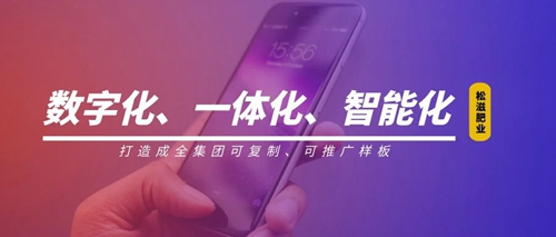 線上辦公零接觸！松滋肥業信息化在戰“疫”之中顯身手(圖1)