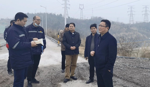 王大真到宜昌區域分子公司和項目現場檢查指導工作(圖3)