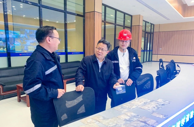 王大真到雙環公司、降解新材料公司和氨醇項目現場調研(圖2)