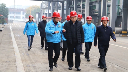 袁衛東到股份、楚星和新項目現場調研