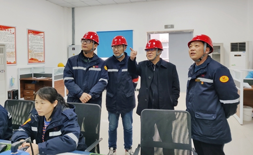 王大真到松滋肥業(yè)、楚星公司現(xiàn)場檢查指導工作