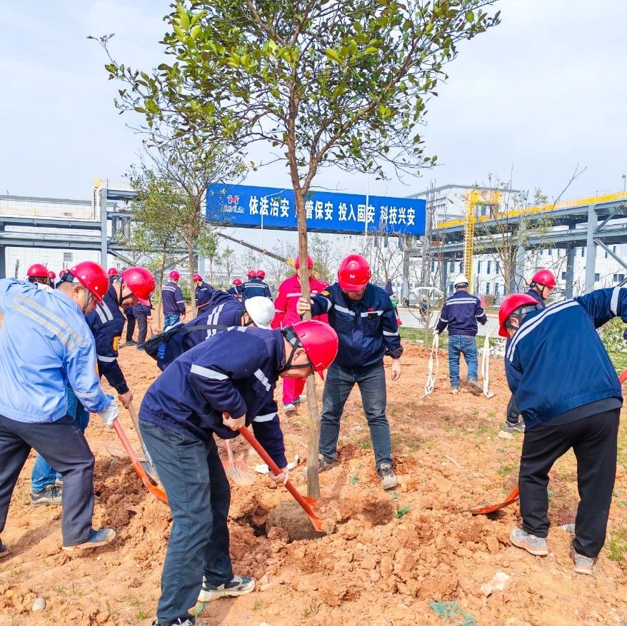 “植”此青綠共“樹”未來！集團各公司開展植樹活動